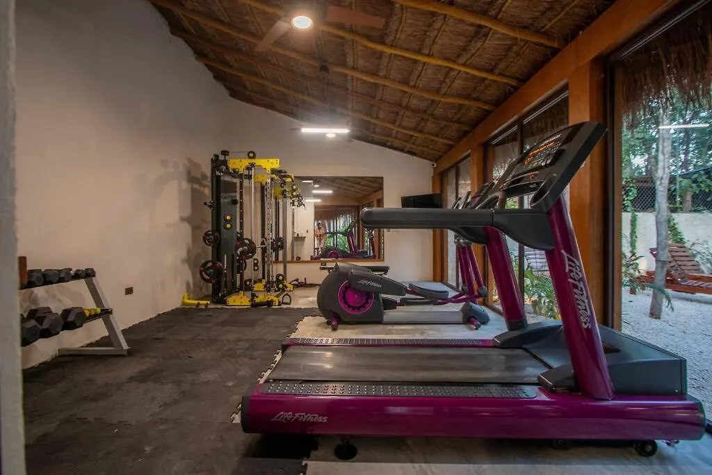 Maxia: Tulum Dream Apartment